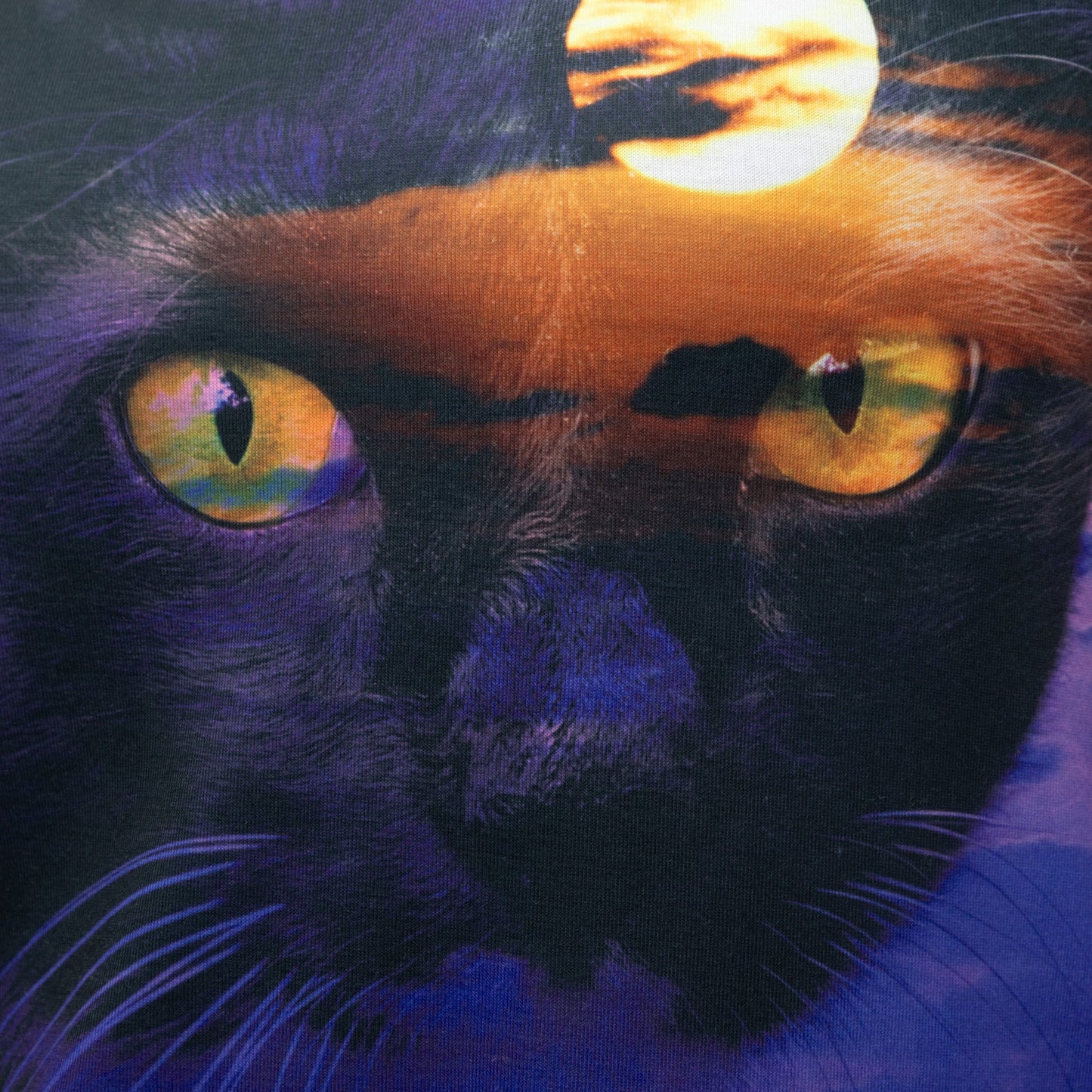 Sunset Cat Tee